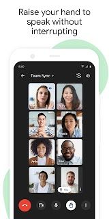 Google Meet screenshot