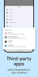 Google Chat screenshot