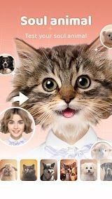 AnimalFace - face types test screenshot