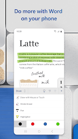 Microsoft Word screenshot